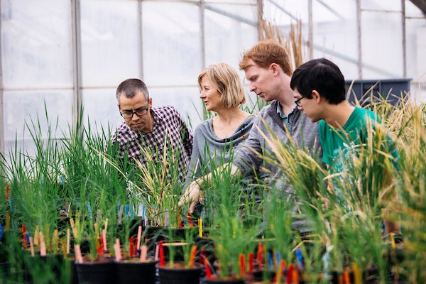 Julia Bailey Serres in greenhouse with students