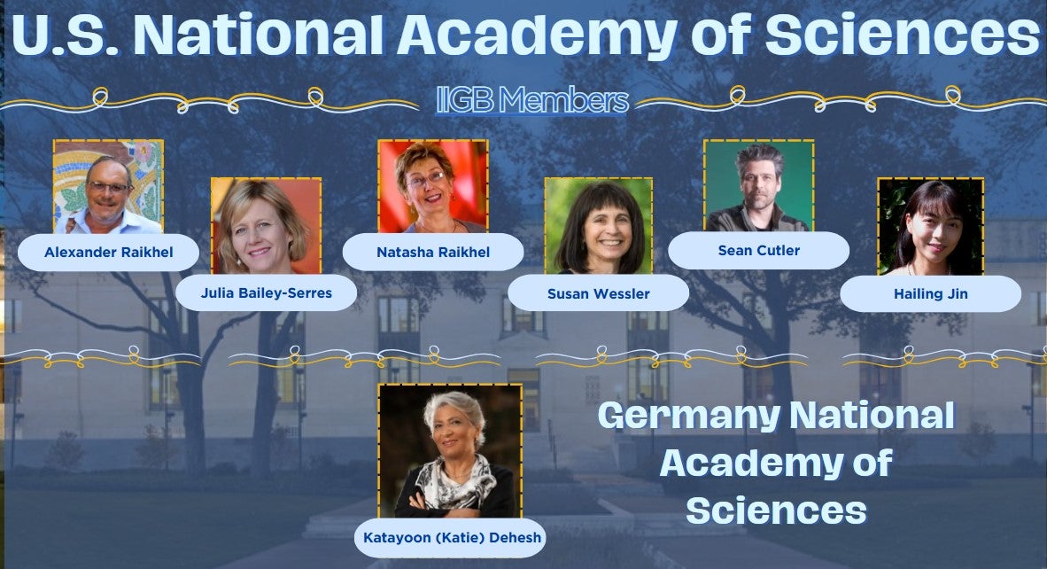 IIGB NAS Members