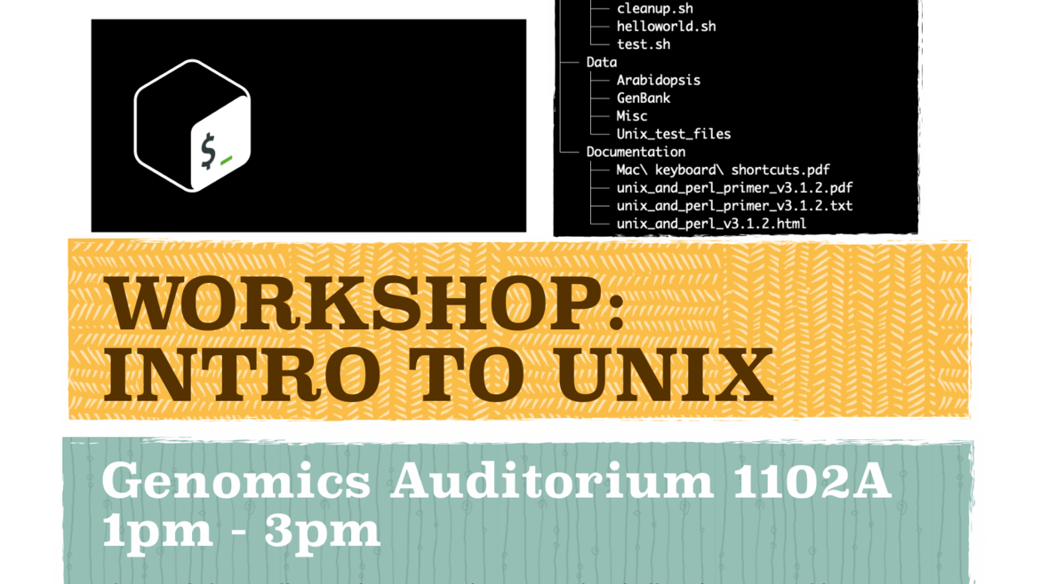 Intro to Unix Workshop