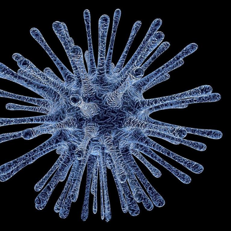 https://pixabay.com/illustrations/virus-bacterium-infection-disease-213708/