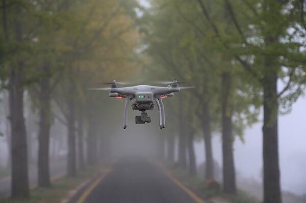 https://pixabay.com/photos/ginkgo-fog-the-drones-landscape-3758236/