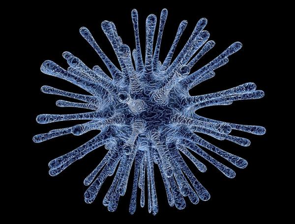 https://pixabay.com/illustrations/virus-bacterium-infection-disease-213708/