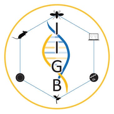 IIGB logo